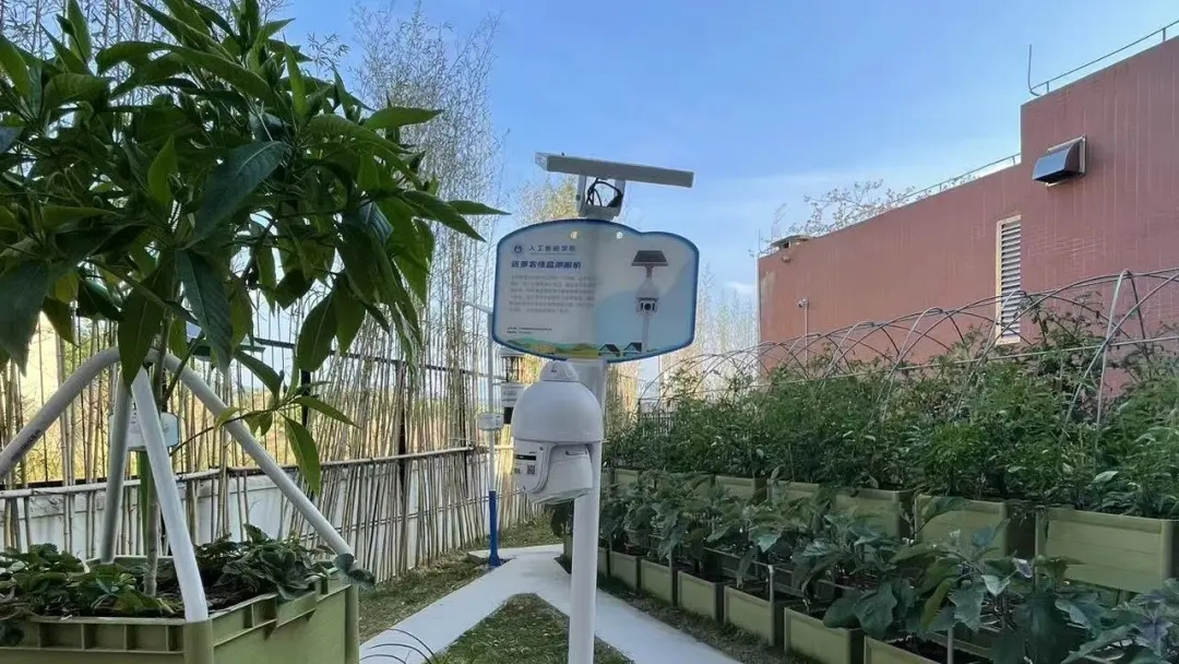 華珠舉行人工智能學(xué)院科技小院揭牌儀式16.jpg