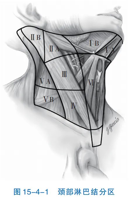 1744940827780597.png 24.webp.png